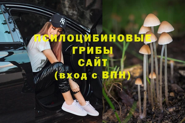 амфетамин Нязепетровск