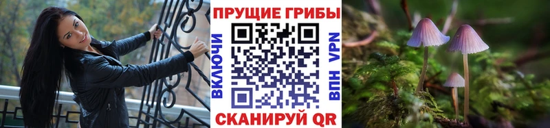 Псилоцибиновые грибы прущие грибы  Олонец 