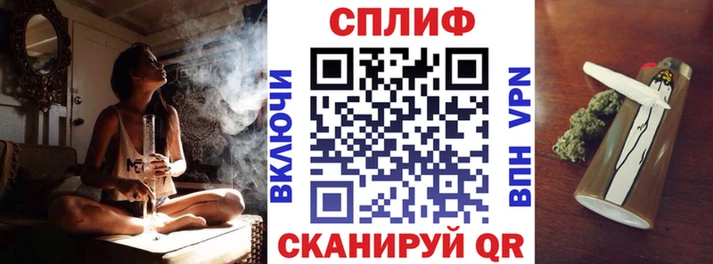 где можно купить наркотик  Олонец  Канабис VHQ 